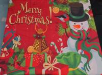 NEW Christmas Backdrop!