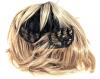 New 12" Long Ash Blond Highlights & Brown Synthetic Hard Front Wig With Bangs - 4