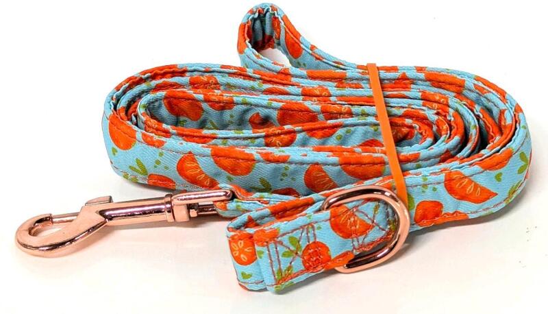 New Bright & Colorful Orange Print Cloth Leash With Rosegold Hardware, 0.8" Wide &times; 60" Long