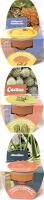 3 New BLOOM Complete Grow Kits : MILKWEED, ALOE & CACTUS, Each Kit Includes 2.75" Tall Terracotta Pot, Growing Medium, Seeds & Instructions