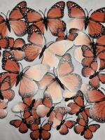 24 New Monarch Butterfly Wall Art