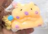 New "Save The Penguins" Game, Squishy Hamster Stress Toy With Accessories, Super Light-Up Singing Bouncing Ball (Needs 4&times; AA Batteries) & 7pc Plastic Kitchen Clay Crafting Tools - 2