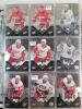 2008-09 UD Black Diamond & 2008-09 UD Montreal Canadians Centennial Trading Card Singles . 250+ Trading Cards , Includes Doubles - 2