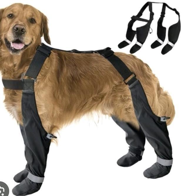New XXL Dog Booties