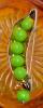 Peas in A Pod Brooch With Pea A-Danglin', 1.75" Long