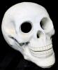 Neat Large 3D Chalkware Skull, 6.25" Tall