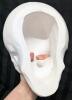 Neat Large 3D Chalkware Skull, 6.25" Tall - 3