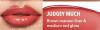 New Sheglam Lip Rules Liner & Gloss Pen "Judgey Much" - 3