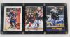 Pavel Bure , Jarome Iginla & Mike Modano Signed NHL Hockey Trading Cards in Card Case . No C.O.A . All 3 in the Hockey Hall of Fame