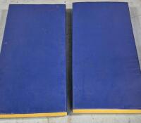 2 Exercise/Play Thick Mats 47.5 x 23.5 x 4"