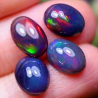 4.68 ct Certified Oval Black Opal gemstone Parcel ($3,510 Appraisal)