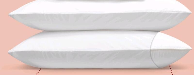 2 New Good Morning Memory Form Pillows & 2 Pillow Protectors