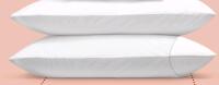 2 New Good Morning Memory Form Pillows & 2 Pillow Protectors