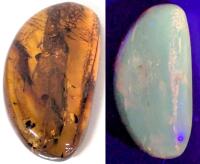 Gorgeous Amber Half-Moon Brooch With Inclusions, 1.4" Long