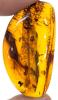 Gorgeous Amber Half-Moon Brooch With Inclusions, 1.4" Long - 2