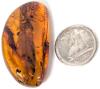 Gorgeous Amber Half-Moon Brooch With Inclusions, 1.4" Long - 3