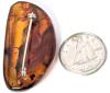 Gorgeous Amber Half-Moon Brooch With Inclusions, 1.4" Long - 4
