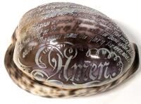 Neat Vintage Etched / Carved Cowrie Shell " The Lord's Prayer ", 3" Long, Fine Crack in Shell (Shows Faintly Under "Amen" )