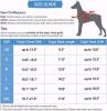New Size LG Dog Norbi Warm Puffy Dog Harness Coat With Leash - 2
