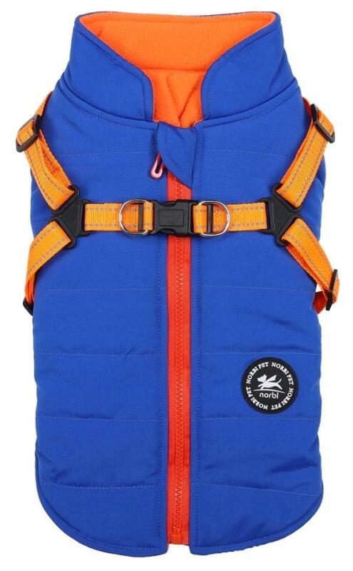 New sz Medium Norbi Pet Coat with Leash