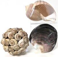Shell Yeah! Shell-Encrusted Ball, Large Seashell & Gorgeous, Glimmering, Super Smooth Mother of Pearl Shell Half, 4.25" &times; 4.8"