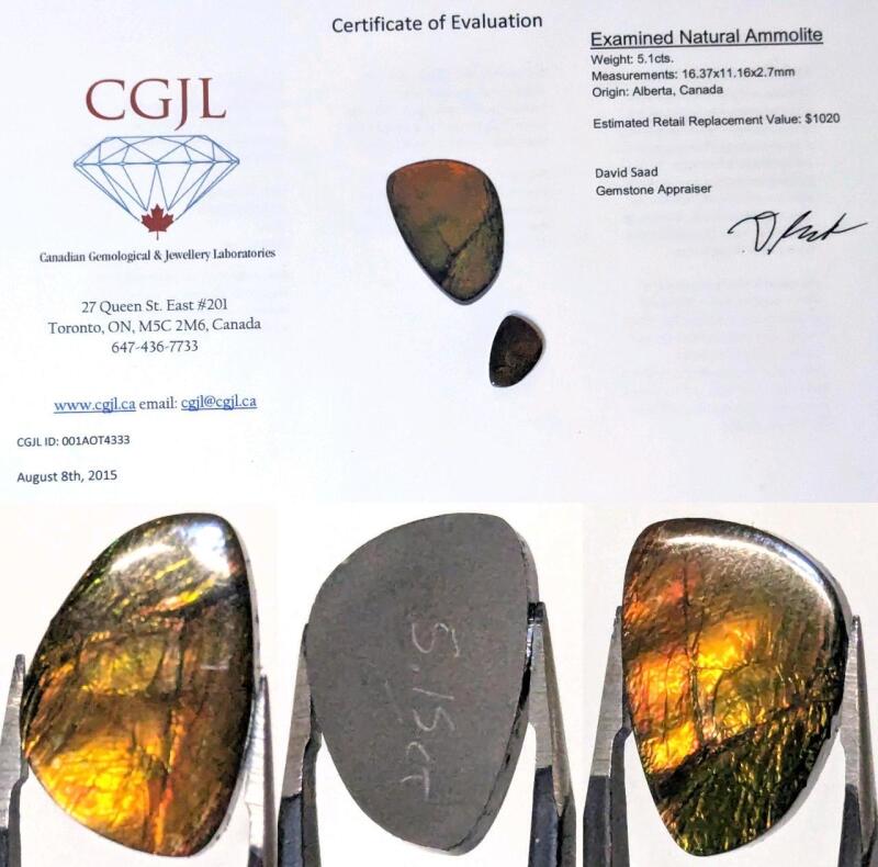 Natural Canadian Ammolite, 5.1 cts, 16.37 &times; 11.16 &times; 2.7mm, With 10+ Year Old Appraisal, Estimated Value $1020 At That Time