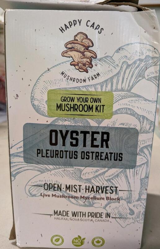 New Happy Caps Grow Your Own Mushroom Kits. Oyster Mushrooms.