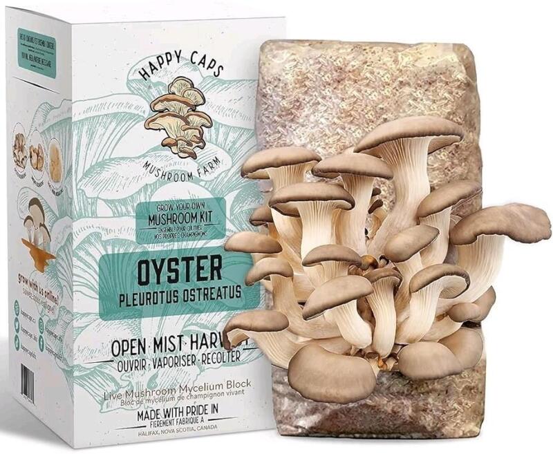 [Packed 08/2025] New Happy Caps Grow Your Own Mushroom Kit : OYSTER (Pleirotis Ostreatus) Live Mushroom Mycelium Block