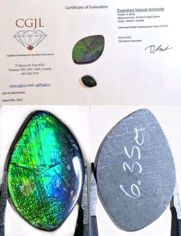 Gorgeous Natural Canadian Ammolite, 6.38 cts, 18.26 &times; 12.28 &times; 2.83mm, With 10+ Year Old Appraisal, Estimated Value $1276