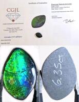 Gorgeous Natural Canadian Ammolite, 6.38 cts, 18.26 &times; 12.28 &times; 2.83mm, With 10+ Year Old Appraisal, Estimated Value $1276