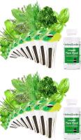 2 New AeroGarden Gourmet Herb Seed Pod Kits - Herb Seeds for AeroGarden Indoor Garden, 9-Pods Per Box