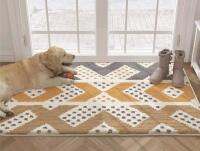 New Color G Doormat Indoor & Outdoor Geometric Patterns Waterproof Front Door Mat Non Slip Washable 24"x36"