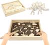 New - BusyCats Stegosaurus Dinosaur Puzzle & Dig Kit .