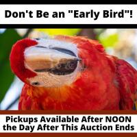 Pickups Start at Noon (12pm) on Monday. Please no Early-Birds!