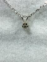 10KT White Gold Natural Diamond (0.02ct) Pendant with Sterling Silver Chain, Retail $400.00. Diamond is the birthstone for April.