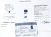 Natural Tanzanite, 2.56 cts, Rectangle Cushion Mixed Cut. 8.01 &times; 6.90 &times; 5.99mm, Laser Enscribed, With 10+ Year Old Appraisal, Estimated Replacement Value $3072 At That Time - 2