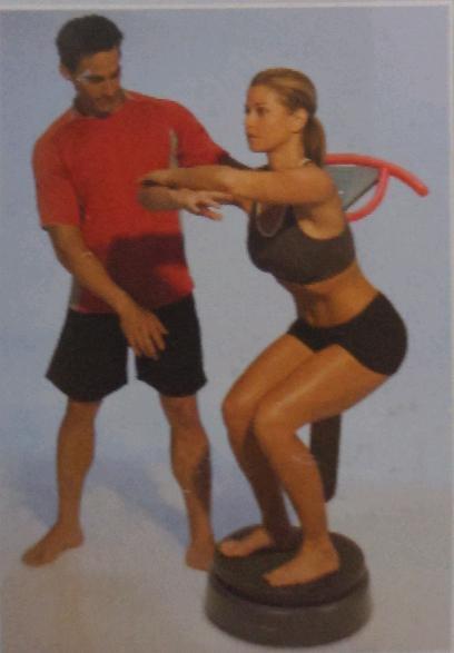 As New Vibracise Whole Body Vibration Fitness Solutions w/ DVD and user manual