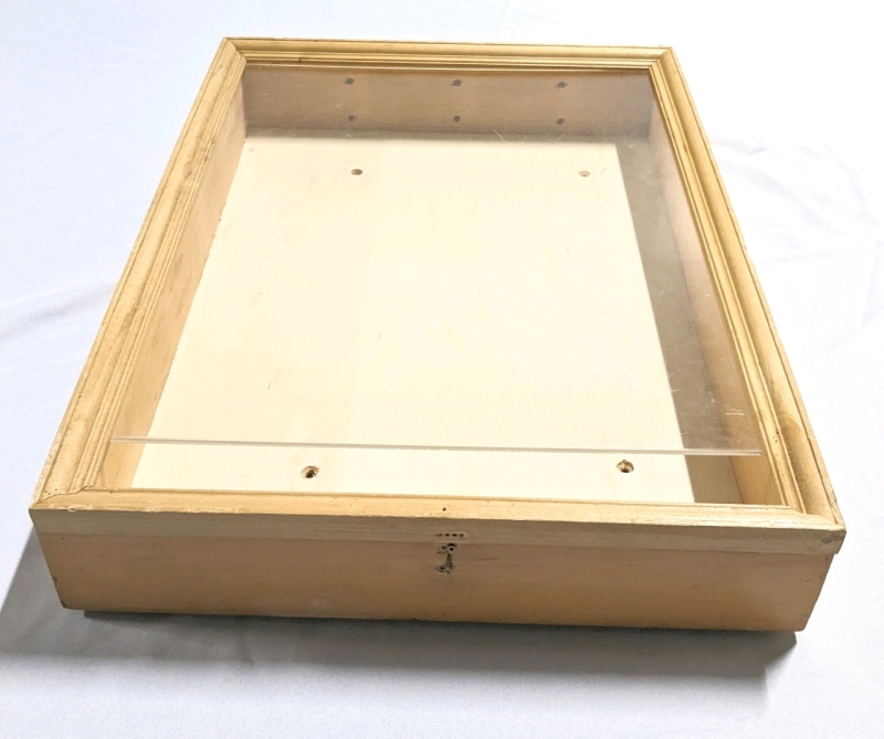 Great Hinged Wood Display Case with Partial Plexiglass Top (18" x 24.25" x 4")