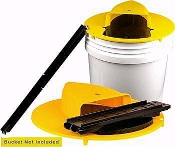 2 Pack Bucket Mouse Trap Kit, Dual-Entry, Fits 5-Gallon Bucket, Black/Yellow, X00432N7GL
