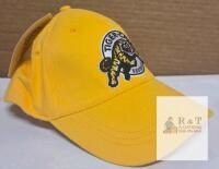 NEW Hamilton Tiger-Cats Gold Flex Classic Baseball Cap OSFA, Official Merchandise, New w/ Tags