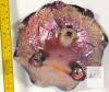 Carnival Glass Footed Bowl, Marigold Iridescent, Leaf Pattern, 7.5" Diameter, Ruffled Rim - 3