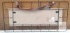 2 NEW Decorative Welcome Wall Sign, Wood and Metal, 19.5"x12.5", Hanging Strap, Modern Farmhouse Style - 3