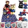 Build-A-Bear Lot: 5 Plush Toys w/ Spider-Man, Paw Patrol Chase, Marvel & DC Costumes, Accessories
