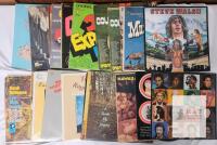Lot of Vintage Vinyl LPs&mdash;Steve Walsh, Pete Townshend, Hank Williams, Roger Whittaker, 33 RPM