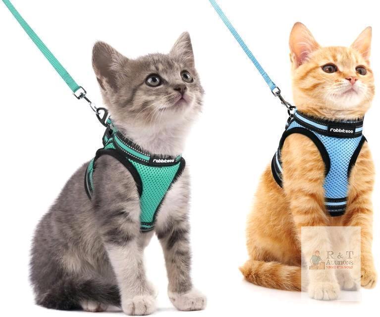 2 New Size MED Cat