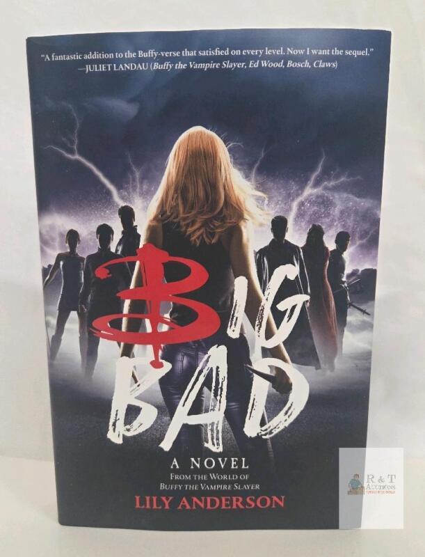Big Bad by Lily Anderson, Buffy the Vampire Slayer Novel, Hardcover, 2023, Hyperion Avenue, ISBN 9781368075466