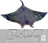 Fotherby Ceramic Manta Ray Wall Sculpture, 15.5", Multicolor Glaze, Signed Art Pottery