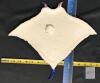 Fotherby Ceramic Manta Ray Wall Sculpture, 15.5", Multicolor Glaze, Signed Art Pottery - 3