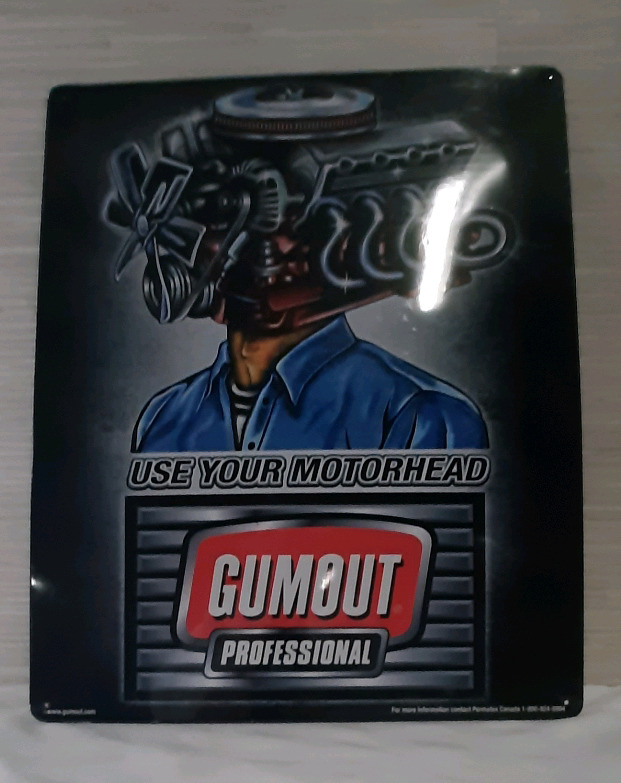 Gumout Professional