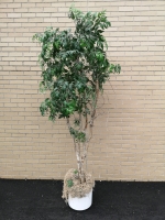 Faux Decorative Tree